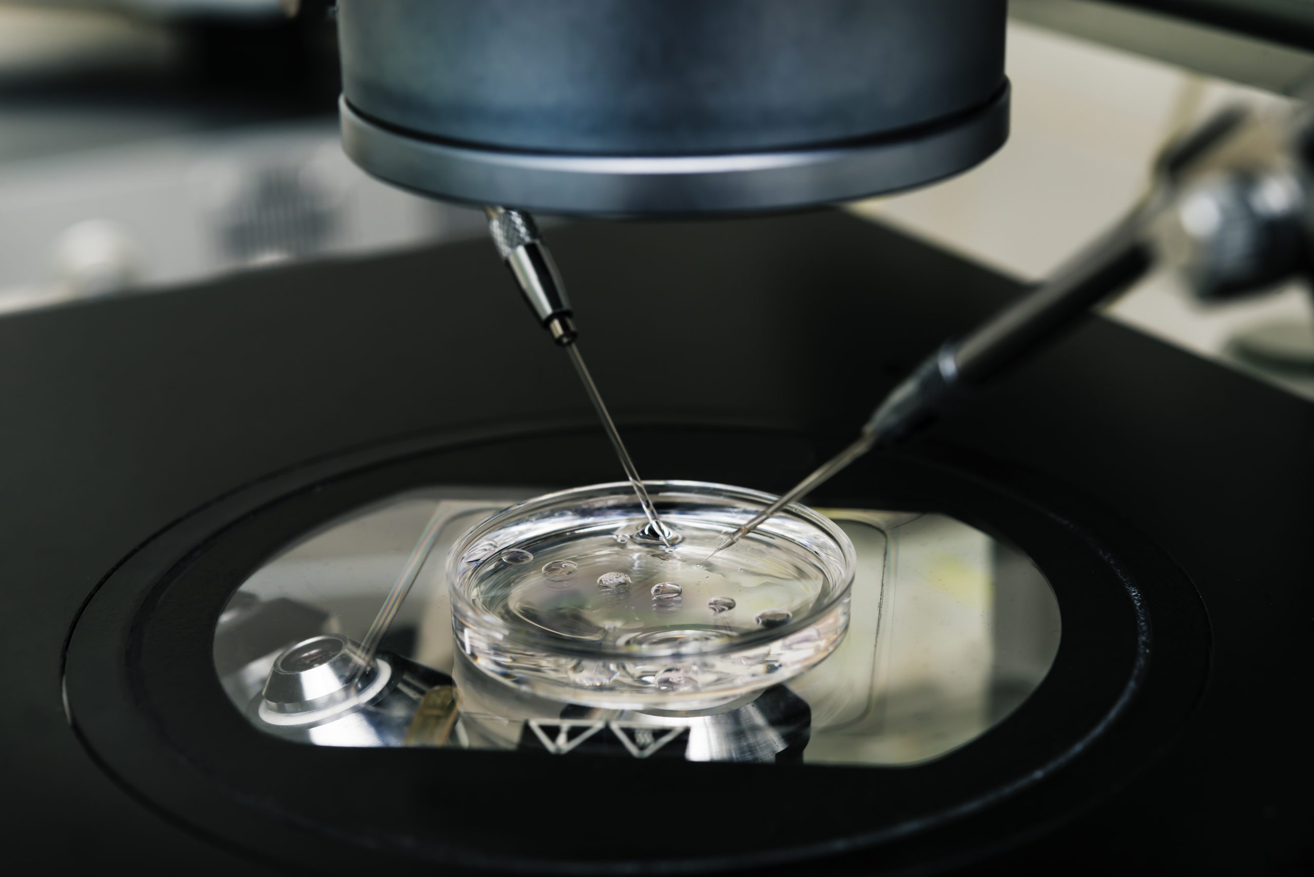 ivf
