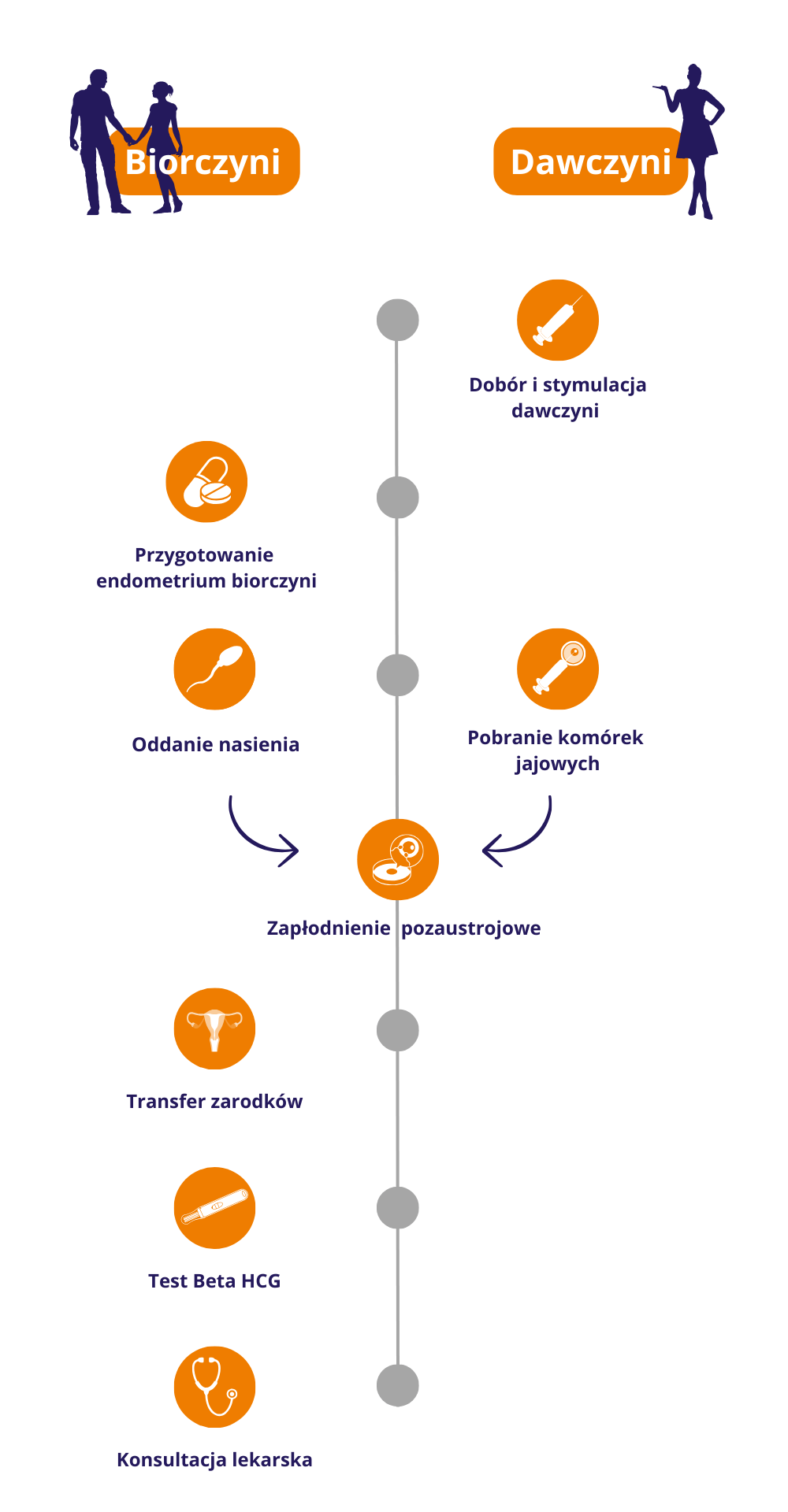 In vitro z komórkami Dawczyni Biorczyni 1 In vitro z komórkami Dawczyni