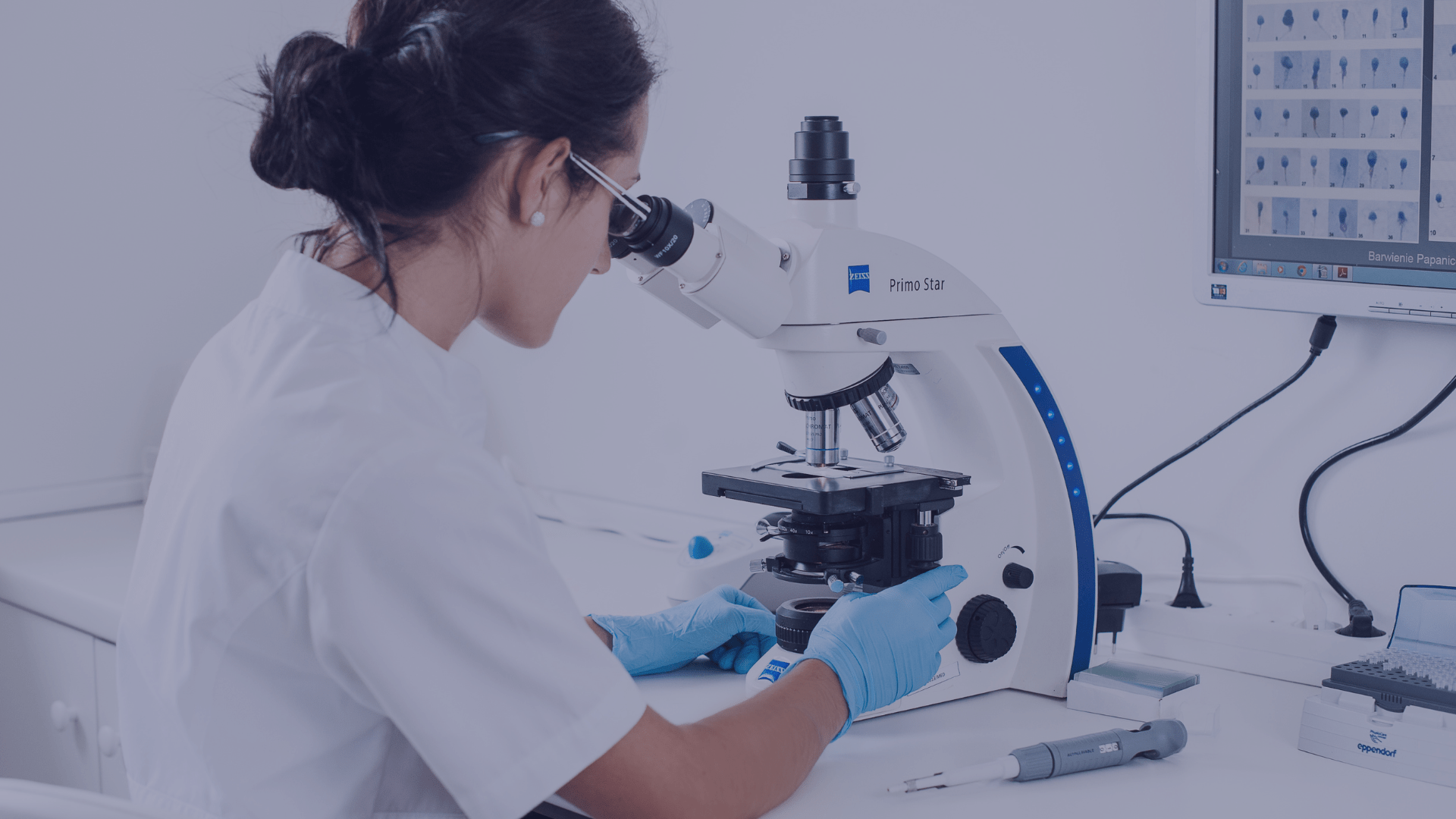 in vitro Bielsko-Biała