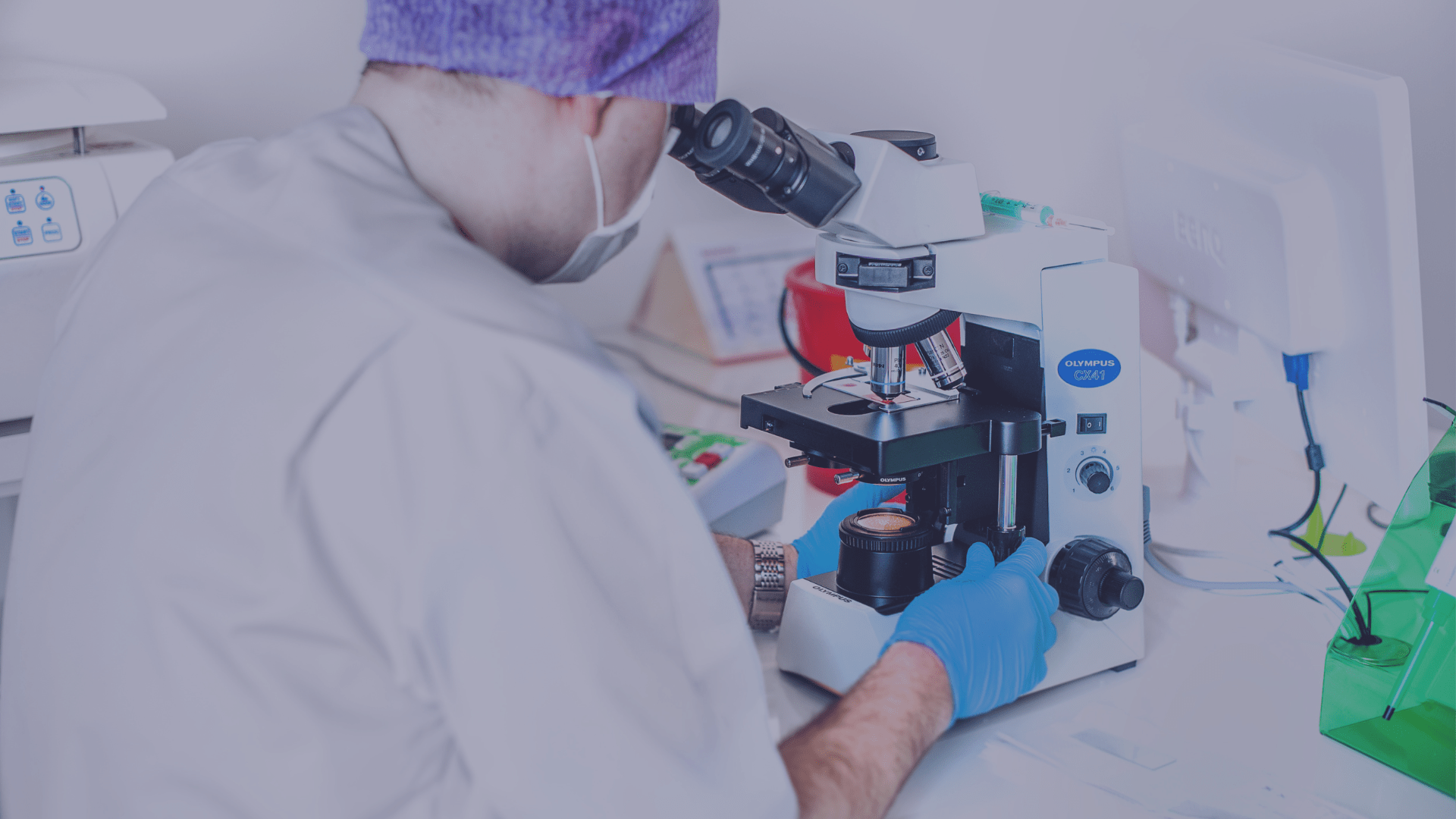 in vitro częstochowa