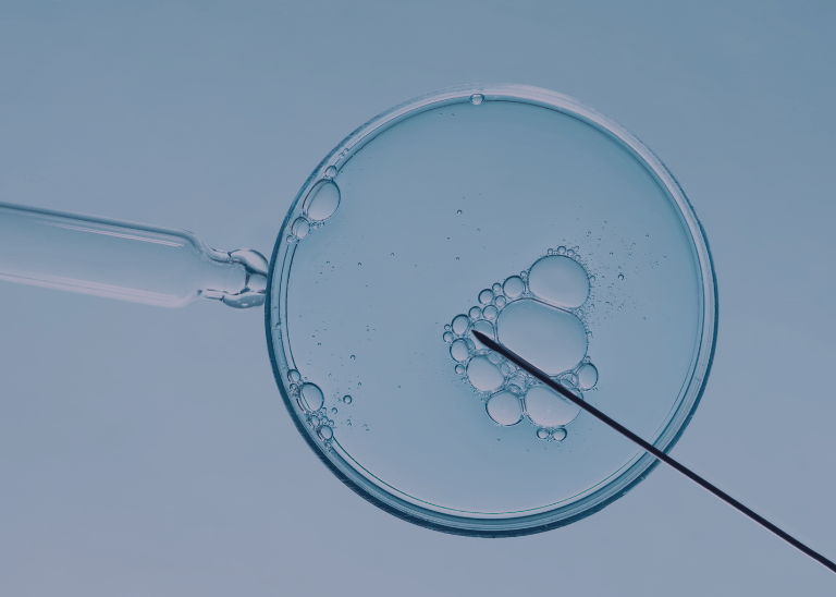 in vitro poznań