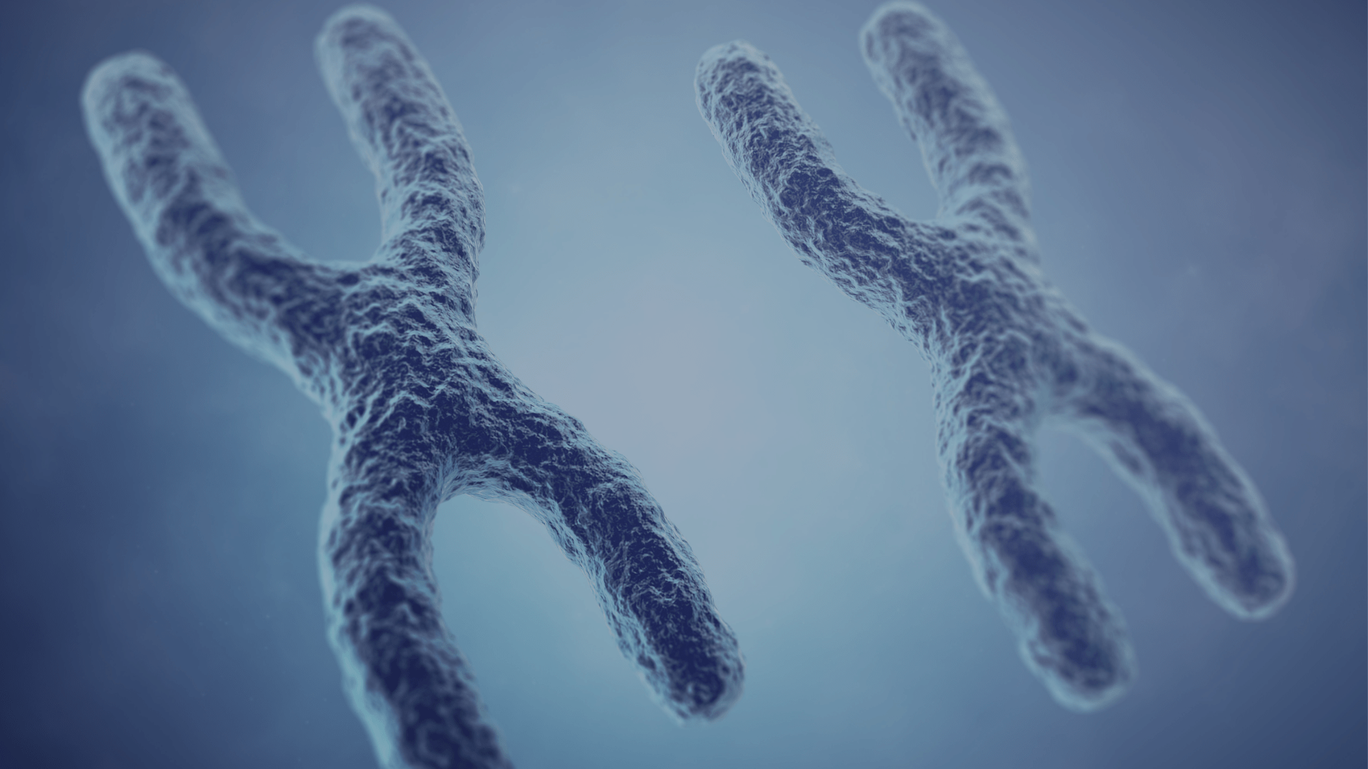 grafika przedstawiająca chromosomy w badaniu kariotypu w Katowicach