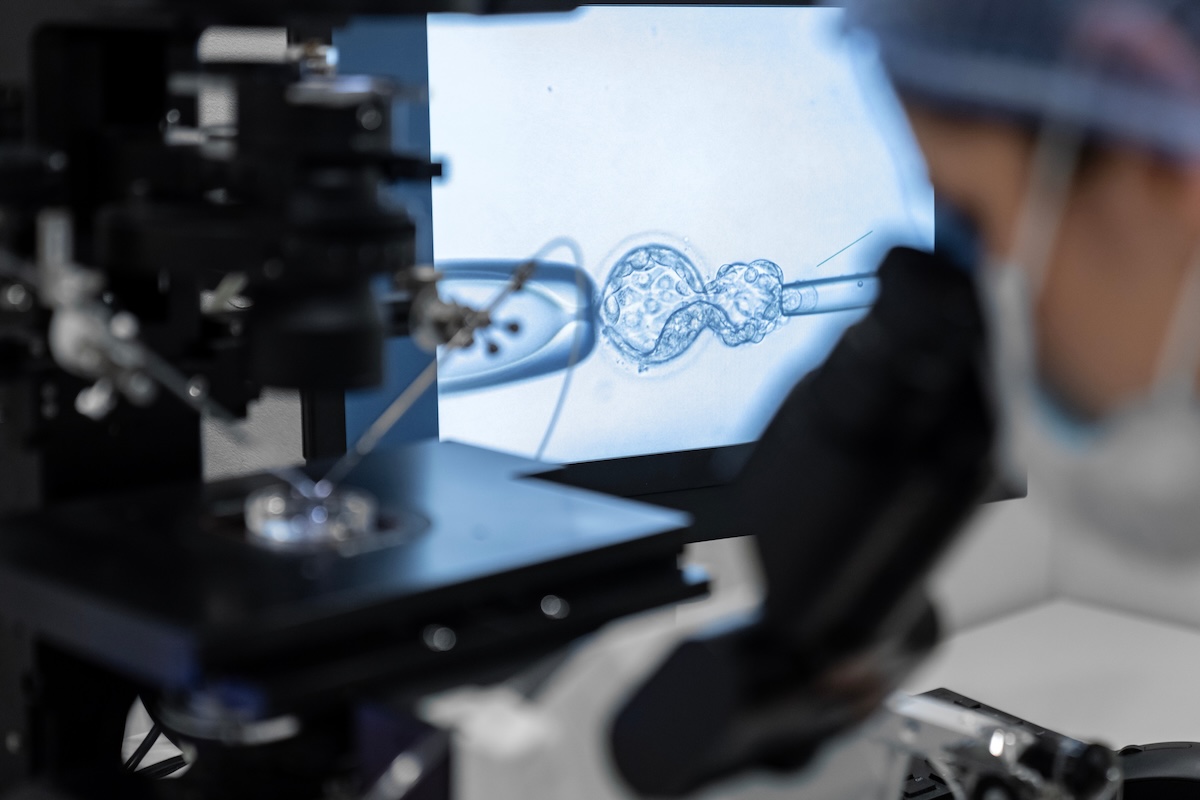 procedura laboratoryjna IVF z embriologiem używającym mikromanipulatora do zabiegu ICSI